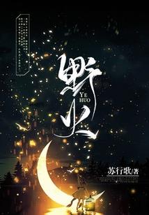 天罗之城