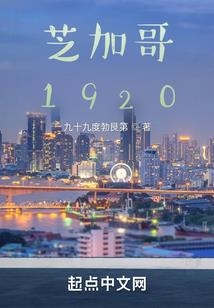 菜鸟的游戏人生