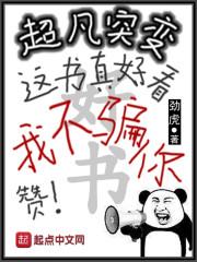 有猫就好
