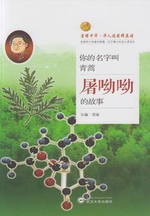 我未来是剑神