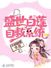 乱世飞贼