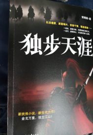 我的黑社会小姐