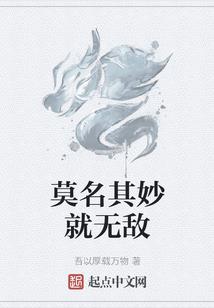 最后的剑武士