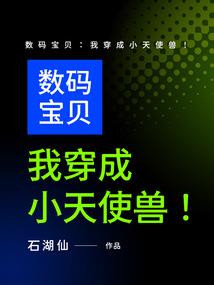 我的爱情是个阴谋