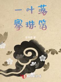 精灵都市之我有系统