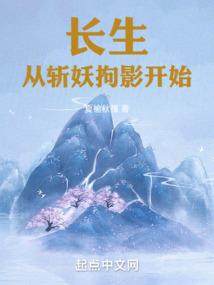 上层精灵的挽歌