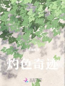 狸奴小宠