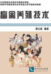 猫咔咔和咔咔