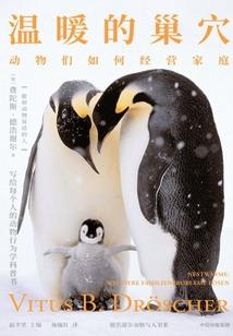 至尊晓妻养成攻略