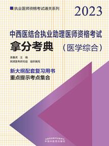 正一品侠盗
