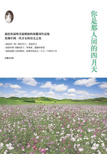 墓葬风云