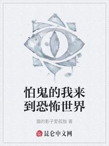 神鹰侠