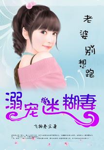 飞天鹰王