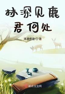总裁太腹黑之前妻太迷人