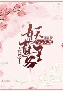 寻芒记