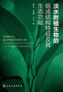 异世界流浪人