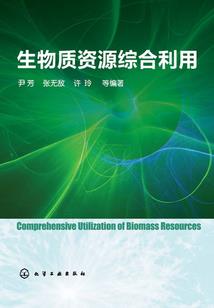 一片玉湖在言心