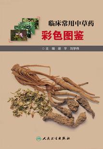 决不肯示弱
