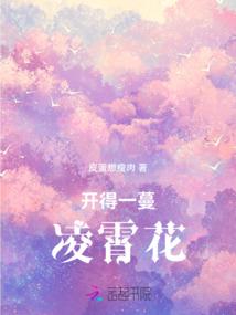 梦幻盗版系统