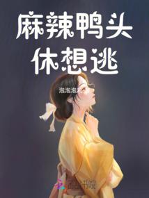 浪迹传说