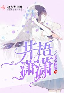 阴影风暴
