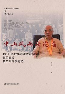 雾城谍影