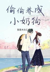 炉石修仙传