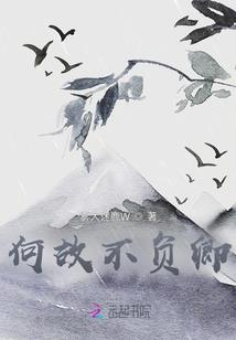 风迷天下