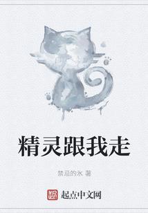 夜的循环体