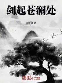 天鼎斗纪