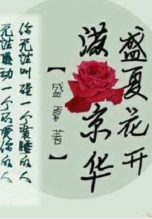 撞上韩国黑腹帅