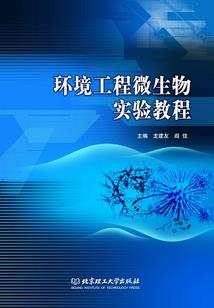 穹神战纪