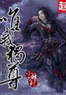 偷心妙手俏丫头