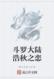 圣剑使回忆录