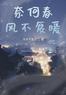 穿越之王的宠姬