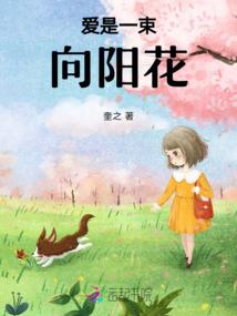 爱在拾光里