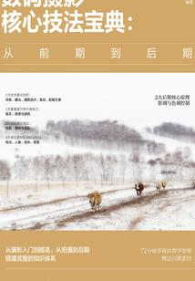 韶华似锦