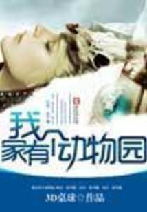 梦中岛