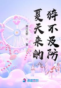 宠物小精灵之平凡的征程