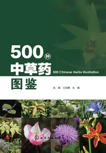 被召唤者叶尘
