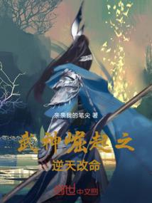 盲神镜辞记