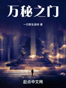 这本小说真随便