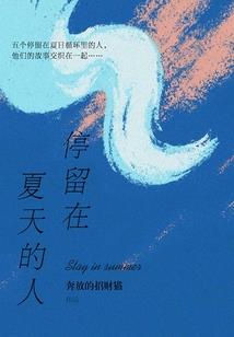 精灵宝可梦之冰系大师