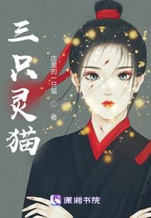 荷叶池塘梅花开