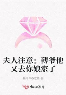 那年的风很暖