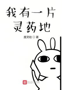 迷惘之风