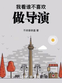 吾皇铠甲
