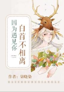 我契约了反派女帝