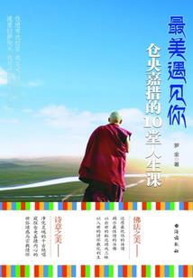 宝可梦之冠军的目标