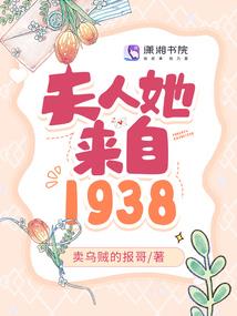三月兔的流浪